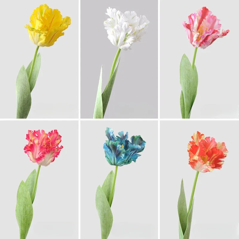 69CM Pappagallo Tulipano Fiore - Plant Parenthood recensione e prezzo